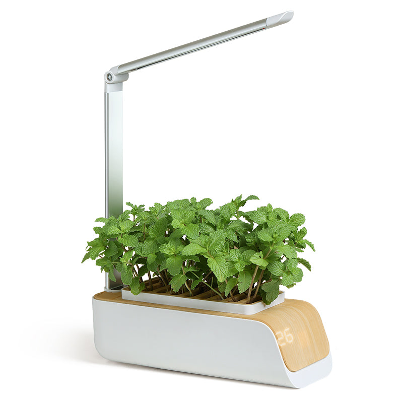 ABIS-H003 LED Grow Lights Smart Flower Pot Planter Automatic Absorption Hydroponics Plant Light Soilless Cultivation Electric Tool for Garden