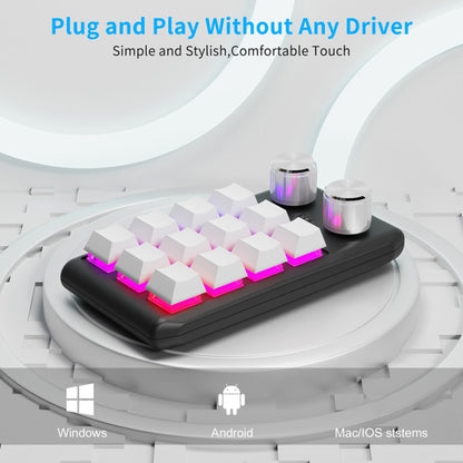 Bluetooth Wireless Gaming Programmable Keyboard One-Hand Operation 12 Keys 2 Knobs Mechanical Keypad with LED Lighting