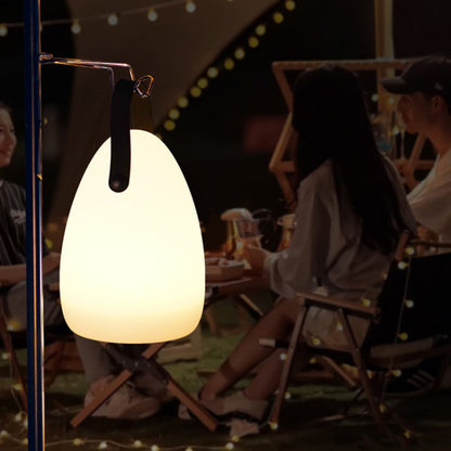 Remote Control Night Light Rechargeable 16 Colors 6 Brightness Levels Bedside Lamp Egg-Shaped Lamp for Home, Bar